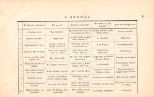 Beniczky Irma, K[uliffay Edéné]: Képes családi játékkönyv. Szerkesztette K. Beniczky Irma.
Budapest...