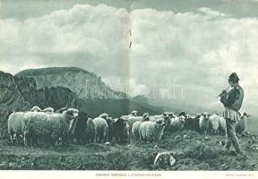 Erdély északi része és a Székelyföld.
Budapest, [1941]. Országos Magyar Idegenforgalmi Hivatal (Pal...