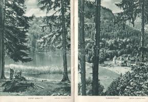 Erdély északi része és a Székelyföld.
Budapest, [1941]. Országos Magyar Idegenforgalmi Hivatal (Pal...