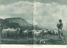 Nord-Siebenbürgen und das Szeklerland. Übertragen von Géza Supla und Aladár Simonffy.
Budapest, [19...