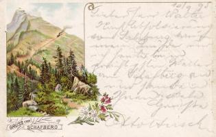 1895 Schafberg Litho