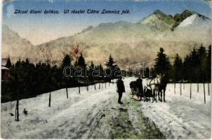 Tátra, Vysoké Tatry; Út Tátralomnic felé télen, lovasszán. Lőcsei állami építész. Vasúti levelezőlapárusítás / road to Tatranska Lomnica in winter, horse sleigh (EM)