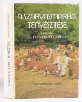 Guba Sándor (szerk.): A szarvasmarha tenyésztése. Bp., 1985, Mezőgazdasági Kiadó, 449+[3] p.+ 20 (fekete-fehér képek) t. Egyetlen kiadás. Kiadói kartonált papírkötés. Megjelent 4400 példányban.