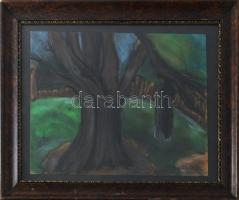 Sztelek jelzéssel: Kertrészlet. Pasztell, papír. Üvegezett fakeretben. 26x34,5 cm.