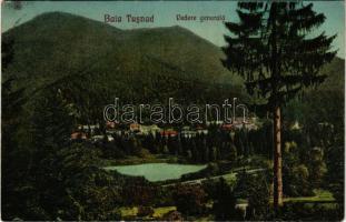 1927 Tusnád-fürdő, Baile Tusnad; Vedere generala. Andrásofszky bazar / látkép / view (kis szakadás / small tear)