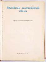 Kovács Gyula: Háziállatok anatómiájának atlasza. Szerk.: Dr. - -. Bp., 1965, Mezőgazdasági, 439 p. K...