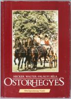 Hecker Walter-Palágyi Béla: Ostorhegyes. Könyv a fogathajtásról. Bp., 1987, Mezőgazdasági, 160 p. Kiadói kartonált papírkötés.