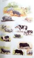 Porter, Valerie: Pigs. A Handbook to the Breeds of the World. Illustrated by Jake Tebbit. Mountfield...