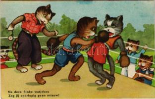 'Na deze flinke watjekou Zeg jij voorlopig geen miauw!' / holland művészlap, boxoló macskák / Dutch art postcard, boxing cats