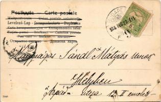 1906 Lady art postcard (EB)