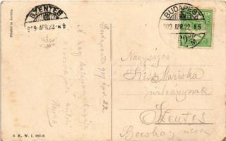 1909 Lady with big hat and dog art postcard. B.K.W.I. 687-6. (Rb)