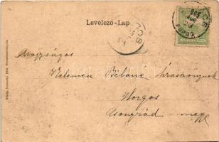 1905 Szliács, Sliac; szálloda. Ivánszky Elek kiadása / hotel (ázott sarok / wet corner)