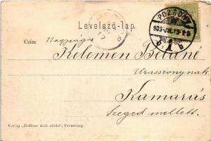 1903 Pozsony, Pressburg, Bratislava; Hotel National u. Palugyay / Nemzeti és Palugyay szálloda, szök...