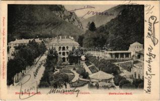 1909 Herkulesfürdő, Baile Herculane; Gyógyliget. Fenyves Oszkár kiadása / Curpark / spa park (fl)