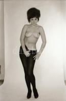 4 db erotikus fotónegatív, 2,5×3,5 cm