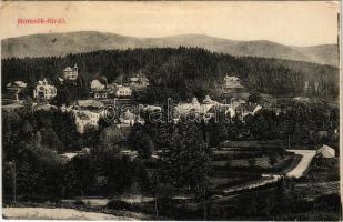 1913 Borszék, Borsec; látkép, nyaralók / general view, villas (ázott sarok / wet corner)