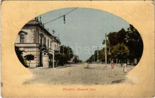1911 Mezőtúr, Kossuth utca. Borbély Gyula kiadása (EM)