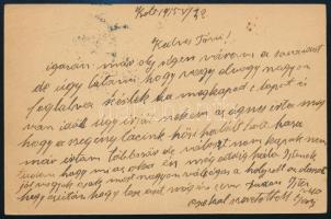 1915 Tábori posta képes levelezőlap "K.u.K MP / POLA" + "K.u.K. KRIEGS-MARINE / SM SC...