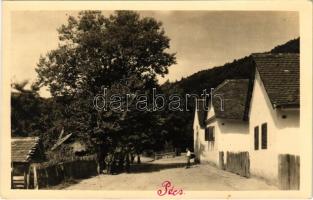 Pécs, Mecsek, Óbányai részlet. Zsabokorszky mérnök felvétele