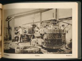 Törley Pezsgőgyár, Budafok 1880-1930. [Képes reklámkiadvány.] Bp., 1930., Monostory György-ny., [12]...