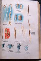 A Család tanácsadója 460 fekete képpel, 32 színes táblával, 24 egyszínű táblával, Dante könyvkiadó, ...