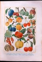 A Család tanácsadója 460 fekete képpel, 32 színes táblával, 24 egyszínű táblával, Dante könyvkiadó, ...