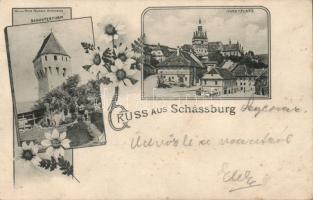 1899 Segesvár with the Schuster Tower