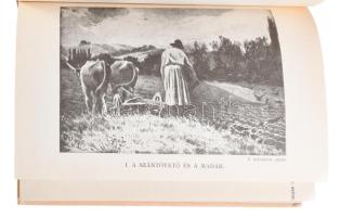 Herman Ottó: A madarak hasznáról és káráról. Csörgey Titusz és Vezényi Elemér képeivel. Bp., 1984, Á...