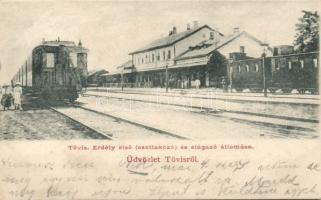 Tövis railway station