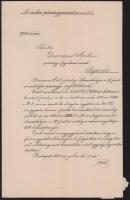 1914 Teleszky János (1868-1939) pénzügyminiszter által saját kézzel aláírt kinevezési okmány segesvári pénzügyi titkárnak, szárazpecséttel, hajtva, jó állapotban