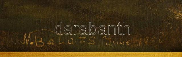 N. Balázs Imre jelzéssel: Vízparti táj. Olaj, vászon. Dekoratív, kissé sérült fakeretben. 63x96 cm. ...