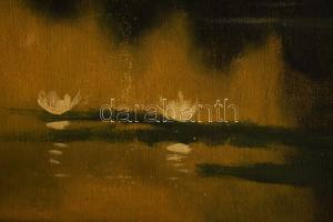 N. Balázs Imre jelzéssel: Vízparti táj. Olaj, vászon. Dekoratív, kissé sérült fakeretben. 63x96 cm. ...