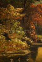 N. Balázs Imre jelzéssel: Vízparti táj. Olaj, vászon. Dekoratív, kissé sérült fakeretben. 63x96 cm. ...