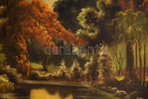 N. Balázs Imre jelzéssel: Vízparti táj. Olaj, vászon. Dekoratív, kissé sérült fakeretben. 63x96 cm. ...