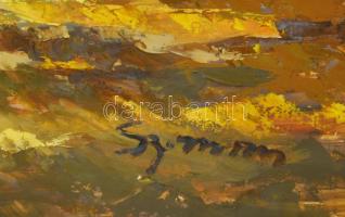 Olvashatatlan jelzéssel: Vízparti fények. Olaj, farost. Fakeretben. 62x82 cm