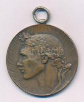 1920 k. "Törekvés Sportegylet Versenydíja" kétoldalas bronz díjérem füllel (38mm) T:XF