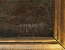 Olvashatatlan jelzéssel, XX. sz. vége: Nagyvárad látképe. Olaj, fa, dekoratív fakeretben, 31x64 cm