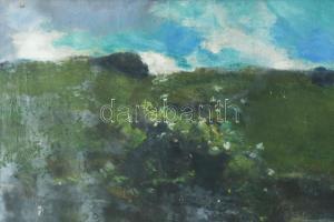 Burghardt Rezső (1884-1963): Lányok a mezőn. Olaj, vászon, jelezve jobbra lent. Üvegezett, sérült fa...