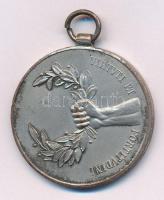 1920 k. "Budapesti Egyetemi Athletikai Club versenydíja / Virtvti et fortitvdini" ezüstözö...