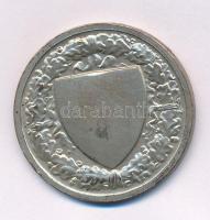 1930 k. "Budapesti (Budai) Tornaegylet 1869 - Kinizsy" kétoldalas ezüstözött bronz emlékér...