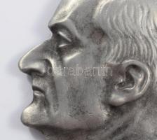 Horthy Miklós fém plakett, akasztóval, 9x7 cm