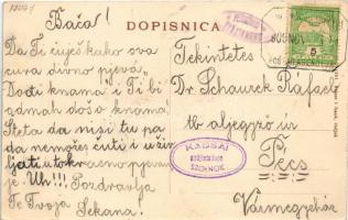 1909 Almás, Aljmas, Apfeldorf (Erdőd, Erdut); látkép. Selzer és Rank kiadása / general view