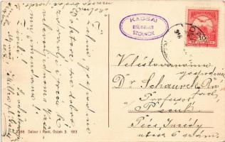 1916 Almás, Aljmas, Apfeldorf (Erdőd, Erdut); templom. Selzer és Rank kiadása / street view, church ...