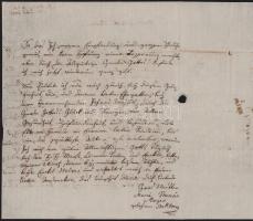 1836 Paulie Simon, née Mayer trencséni gyógyszertáros részére írt levél családi ügyekben 4 beírt old...