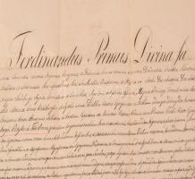 1837 Pest királyi törvényszék tanúkihallgatást elrendelő határozata tótboronai Betykó József ügyében