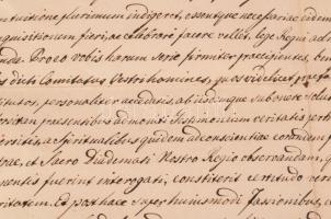 1837 Pest királyi törvényszék tanúkihallgatást elrendelő határozata tótboronai Betykó József ügyében