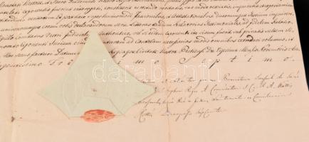 1837 Pest királyi törvényszék tanúkihallgatást elrendelő határozata tótboronai Betykó József ügyében