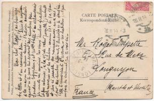 1914 Radauti, Radóc, Radautz (Bukovina, Bucovina, Bukowina); Strada domneasca c. r. tribunalul, halt...