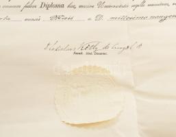 1929 Bp., a Pázmány Péter Tudományegyetem által kiállított orvosdoktori diploma Fenyvesi József (190...