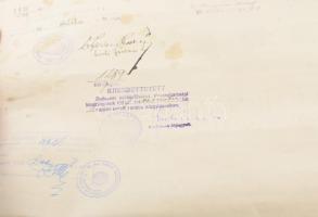 1929 Bp., a Pázmány Péter Tudományegyetem által kiállított orvosdoktori diploma Fenyvesi József (190...